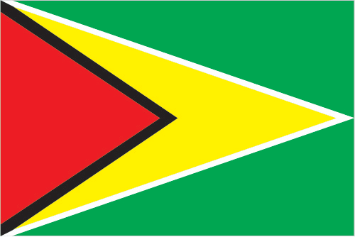 Flag of Guyana